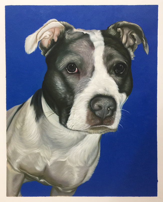 blue background dog artwork