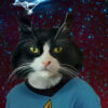 Cat Portrait Star Trek Oil Painting