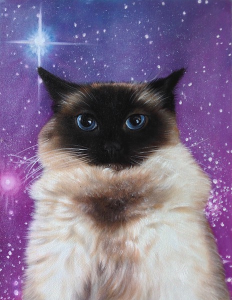 Portrait of Siamese Cat by Splendid Beast
