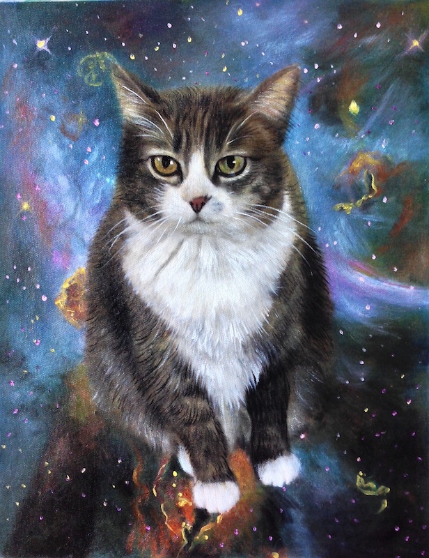 deep space cat artwork