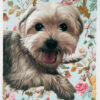 floral background painting dog portait