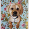 flowery background pet portrait