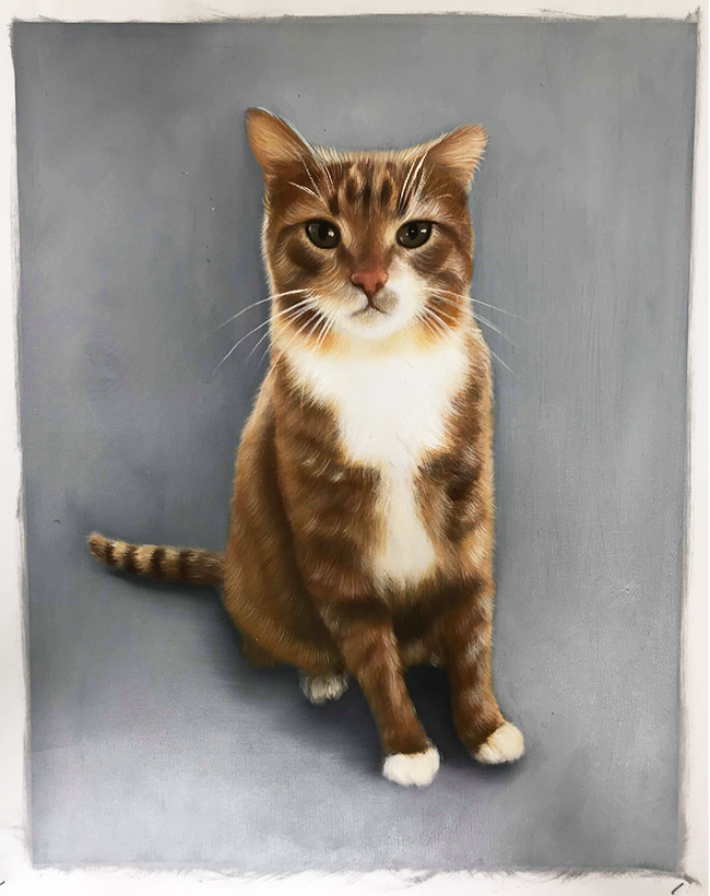 gray background painting cat