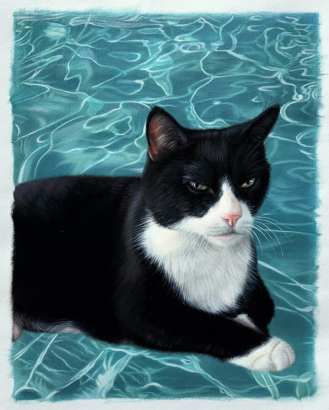 water background portrait of cat