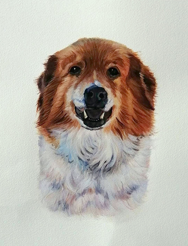 watercolor dog painting on white background