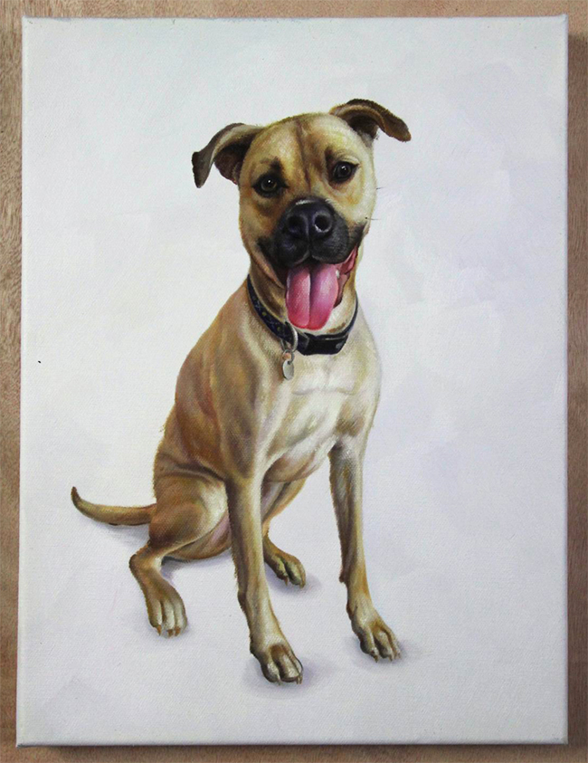 white background painting with dog
