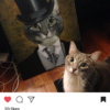 Cat next to its Splendid Beast painting as an aristocrat