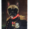 napoleon dog custom painting