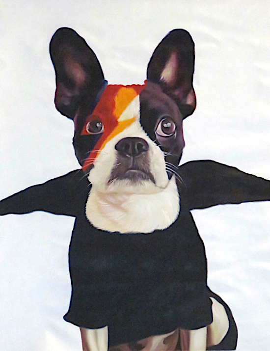 Dog painted as David Bowie from Aladdin Sane