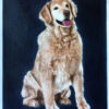 navy blue background with dog